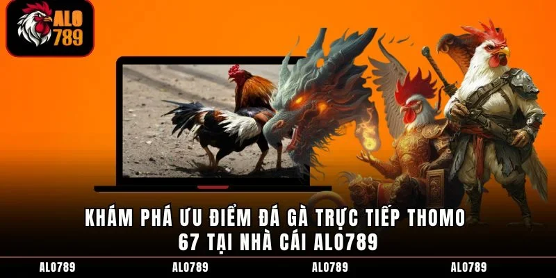 Khám phá ưu điểm đá gà trực tiếp Thomo 67 tại nhà cái ALO789