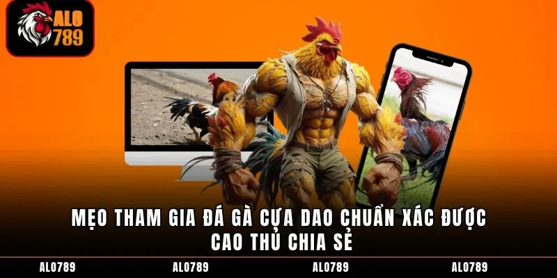 Mẹo tham gia đá gà cựa dao chuẩn xác được cao thủ chia sẻ