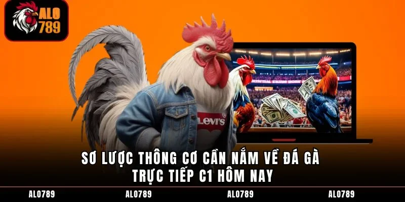 Sơ lược thông cơ cần nắm về đá gà trực tiếp C1 hôm nay