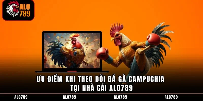 Ưu điểm khi theo dõi đá gà Campuchia tại nhà cái ALO789