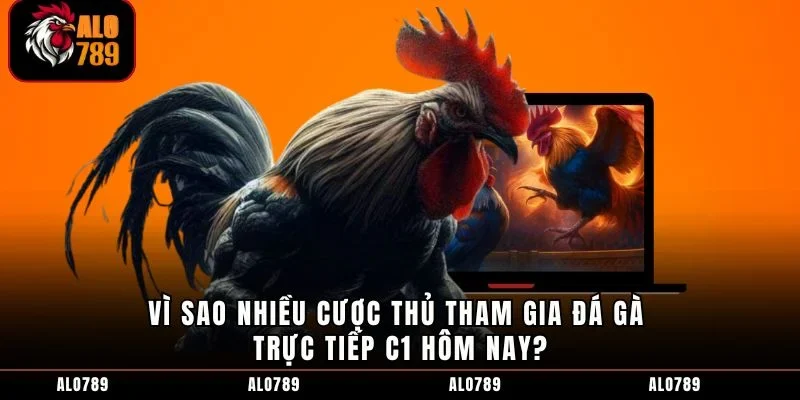 Vì sao nhiều cược thủ tham gia đá gà trực tiếp c1 hôm nay?
